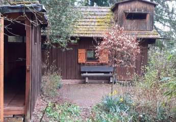 480987-Vorschaubild2