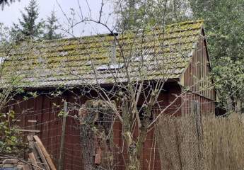 480987-Vorschaubild3