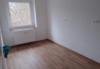 428834-Vorschaubild2