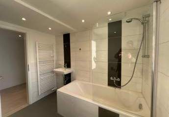 428835-Vorschaubild2