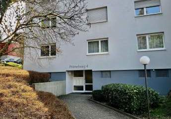 422991-Vorschaubild3