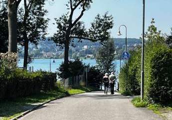 454273-Vorschaubild4