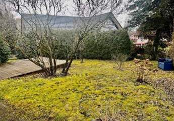 475017-Vorschaubild4