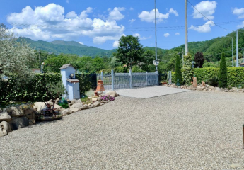 485573-Vorschaubild2