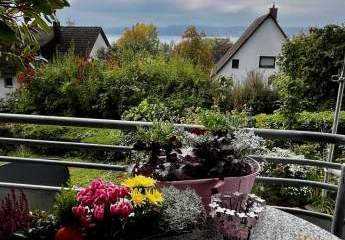 488565-Vorschaubild2