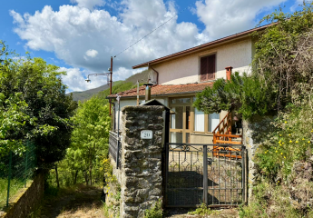 Grundstück in der Toscana mit Haus und Weinreben