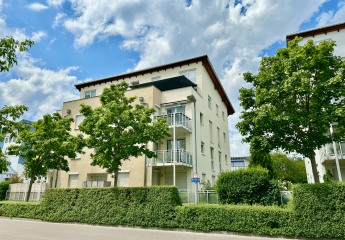 Mieterin sucht Vermieter mit Herz