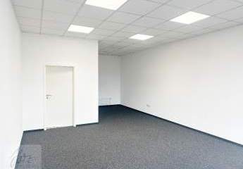 475865-Vorschaubild3