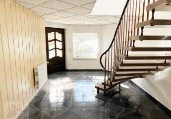 475866-Vorschaubild2