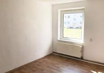 481753-Vorschaubild3