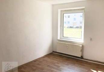 487909-Vorschaubild3