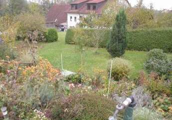 416707-Vorschaubild3