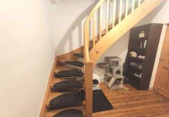 458675-Vorschaubild4