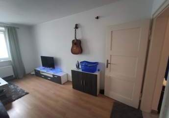 461950-Vorschaubild4