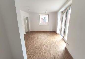 431667-Vorschaubild2