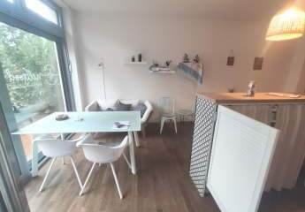 466541-Vorschaubild3