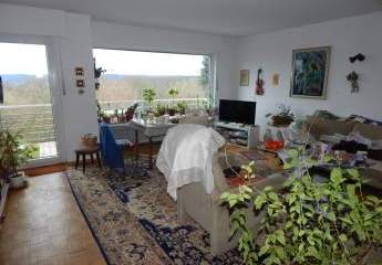 423371-Vorschaubild2