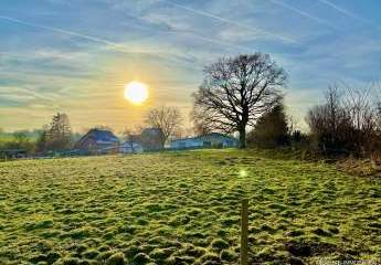 432569-Vorschaubild2