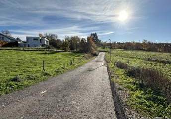 454302-Vorschaubild3