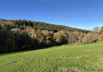 454302-Vorschaubild4