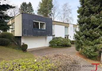 481896-Vorschaubild2