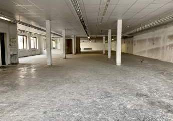 422836-Vorschaubild4