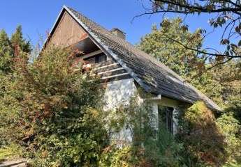 451324-Vorschaubild3