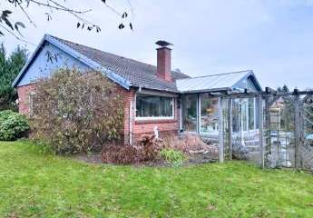 462692-Vorschaubild4