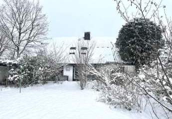 451324-Vorschaubild3