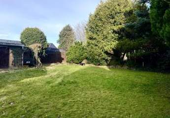 468173-Vorschaubild3