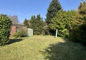 481015-Vorschaubild4