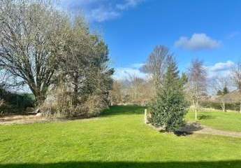 482131-Vorschaubild4