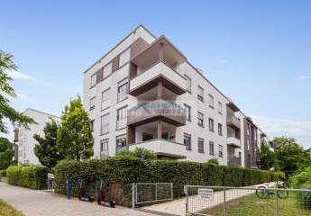439947-Vorschaubild2