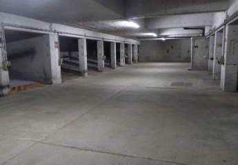 481586-Vorschaubild2