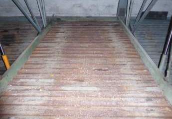 481586-Vorschaubild4