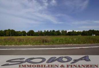 397576-Vorschaubild3