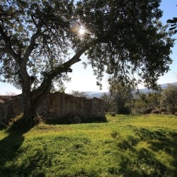 Baugrundstueck mit Ruine in Santa Catarina