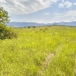 210 ha Viehwirtschaftsbetrieb