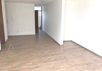 490310-Vorschaubild3