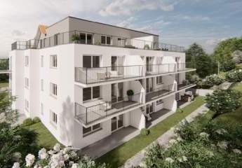 466869-Vorschaubild4