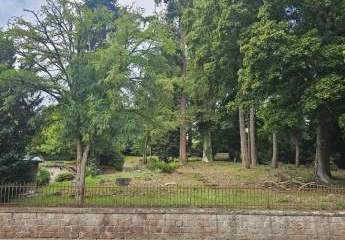 451529-Vorschaubild4