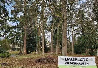 Schöne Grundstücke sind selten geworden: Bauplatz, 900 m² im Park mit altem Baumbestand - zugreifen!