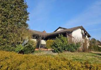 470282-Vorschaubild3