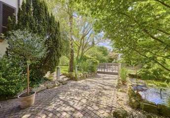 456538-Vorschaubild2