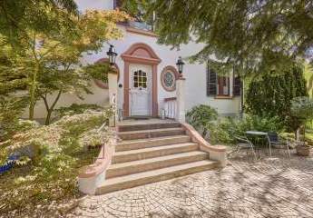 456538-Vorschaubild3