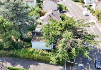 418065-Vorschaubild3