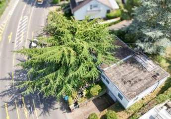 418065-Vorschaubild4