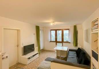 471500-Vorschaubild3