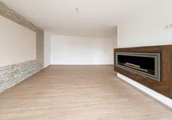 471773-Vorschaubild3