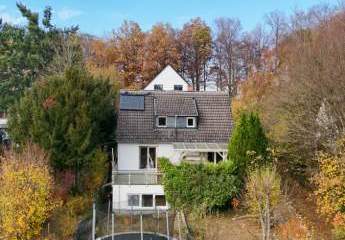 456168-Vorschaubild2